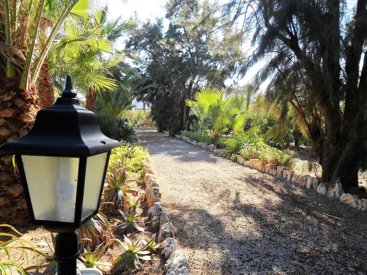 Apartamentos Concha Del Mar ซากุนโต ภายนอก รูปภาพ